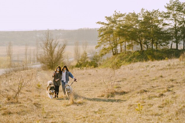 Due ragazze alla moda in un campo soleggiato con i cani