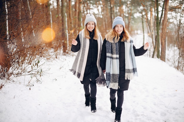 Due ragazze carine in un parco d&#39;inverno