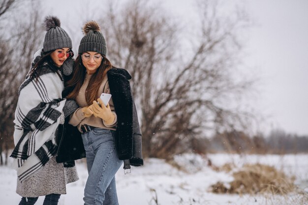 Due ragazze che camminano insieme in un parco di inverno e facendo selfie