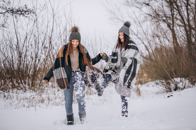 Due ragazze che camminano insieme in un parco di inverno