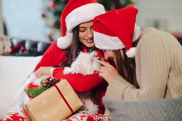 Due ragazze con un cagnolino sono sedute sul divano a Capodanno. Amici insieme.