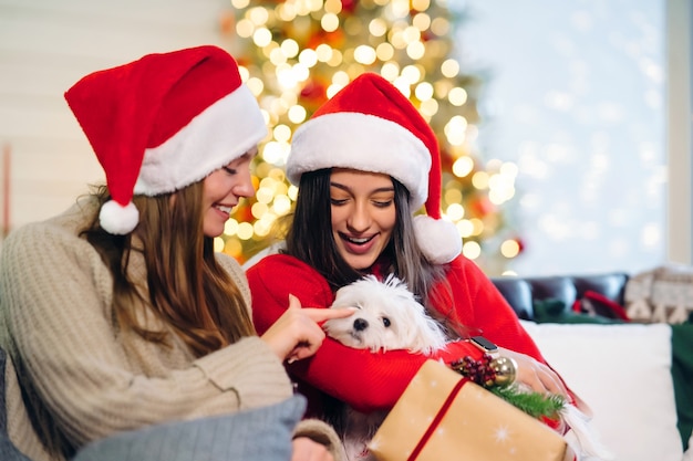 Due ragazze con un cagnolino sono sedute sul divano a Capodanno.