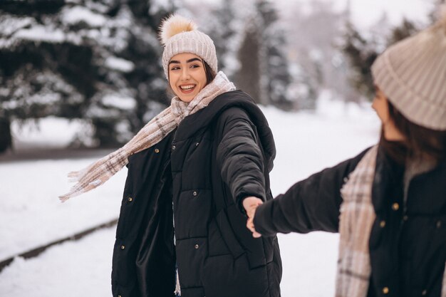 Due ragazze gemelli insieme nel parco di inverno