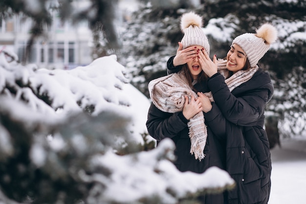 Due ragazze gemelli insieme nel parco di inverno