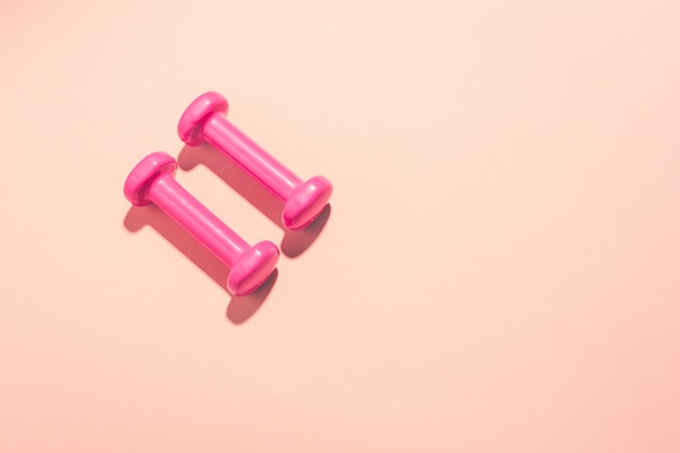 Dumbbells piatto giaceva su sfondo rosa