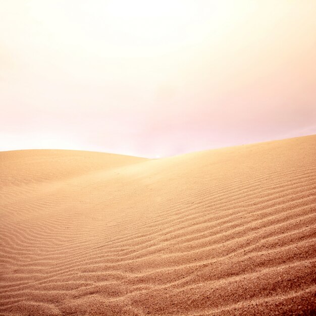 Dune di sabbia e cielo sul deserto.