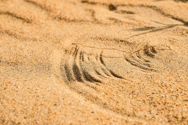 Dune, disegni di erba sulla sabbia sotto raffiche di vento sulla costa del Mar Nero, messa a fuoco selettiva sulle linee. Avvicinamento.