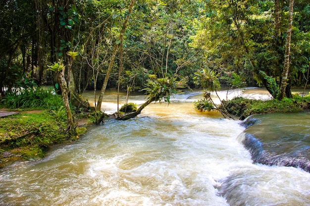 Dunns's River Falls in Giamaica nel Dunn's River Falls Park