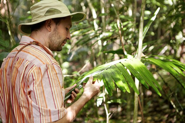 Ecologia e conservazione ambientale. Ecologista in cappello di Panama che esamina le foglie della pianta verde, alla ricerca di malattie delle macchie fogliari, dall'aspetto serio.