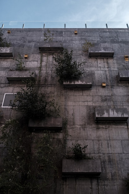 edificio alto con piante coltivate su di esso