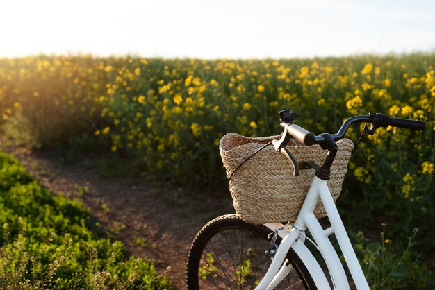 Elegante bicicletta in natura