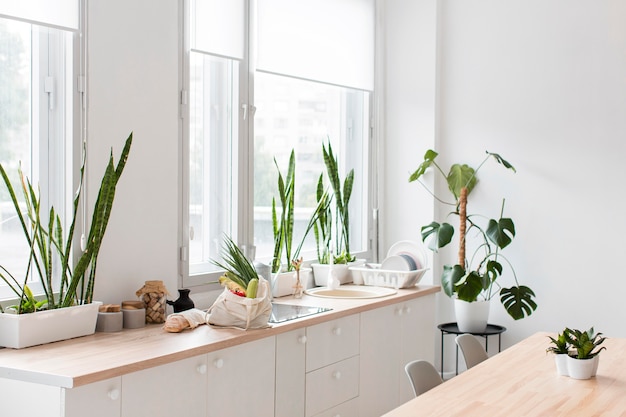 Elegante cucina minimalista con piante