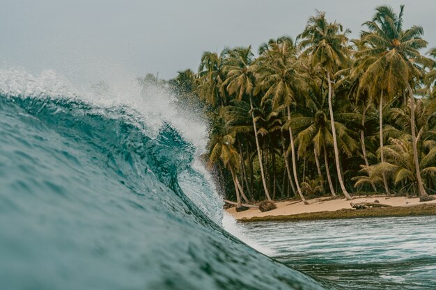 Enorme onda di rottura di un mare e le palme nelle isole Mentawai, Indonesia