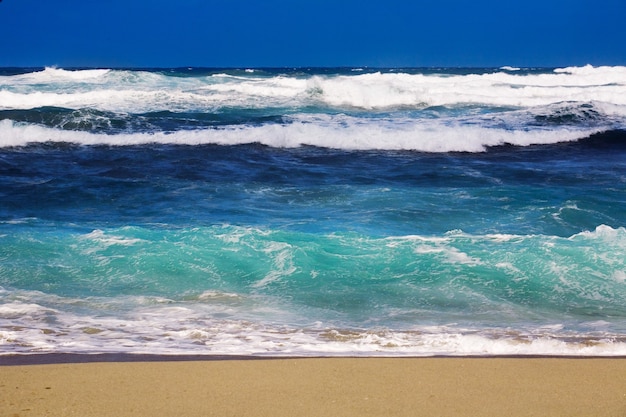 Enormi onde del mare che si infrangono sulla spiaggia sabbiosa