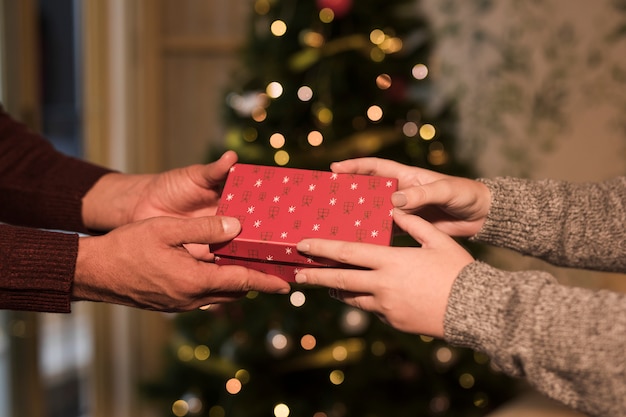 Equipaggi la presentazione del contenitore di regalo alla donna vicino all&#39;albero di Natale