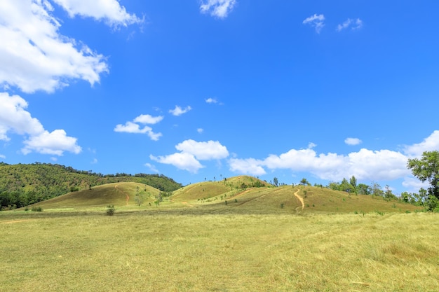 Erba verde al parco scenico della montagna della collina calva a Ranong Tailandia