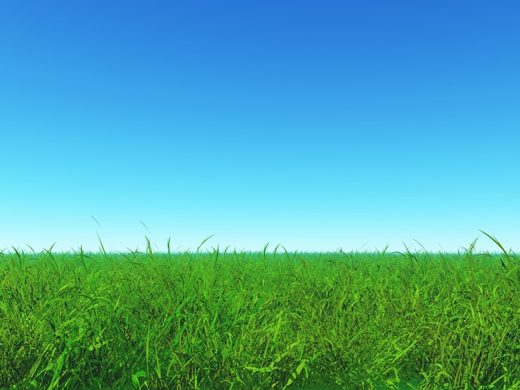 Foto gratuito erba verde e cielo blu