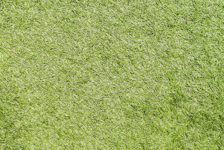 Foto gratuito erba verde