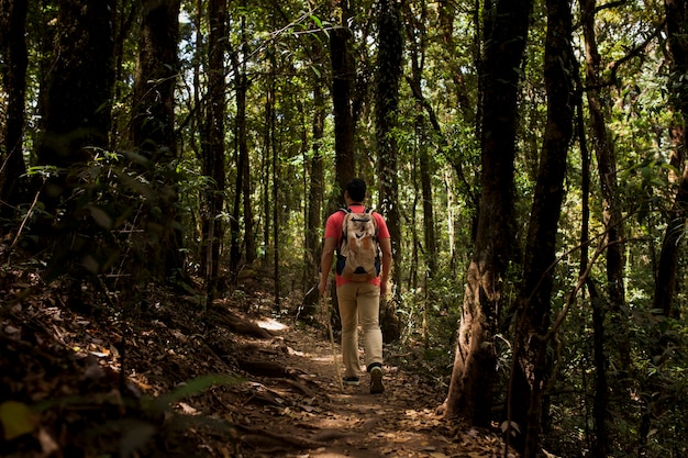 Escursionista cammina attraverso la foresta oscura