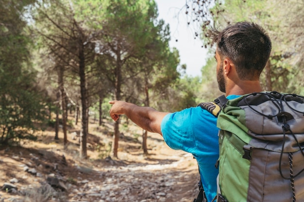 Escursionista in foresta che punta