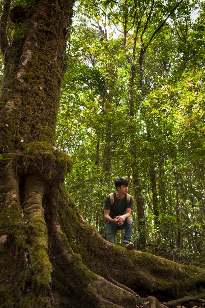 Escursionista in posa accanto a enorme albero