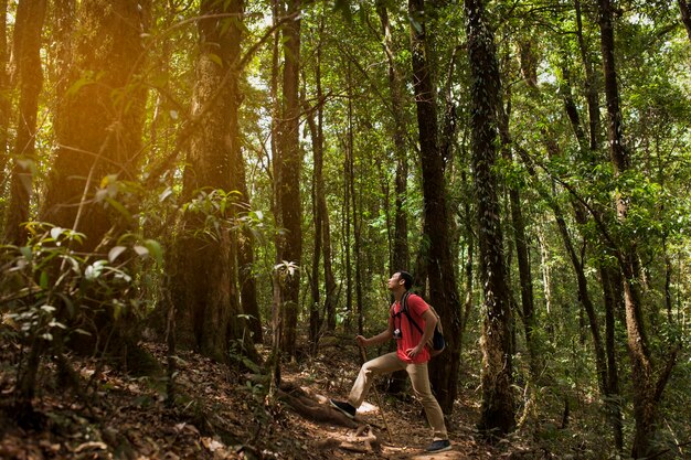 Escursionista prendendo un periodo di riposo in una foresta selvaggia