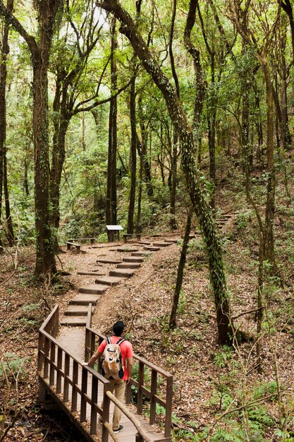 Escursionista su un percorso di legno nel bosco