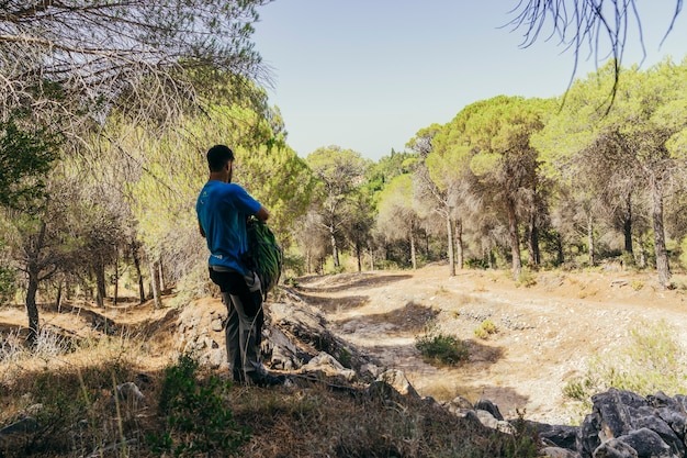 Escursionista, zaino, presa a terra, foresta