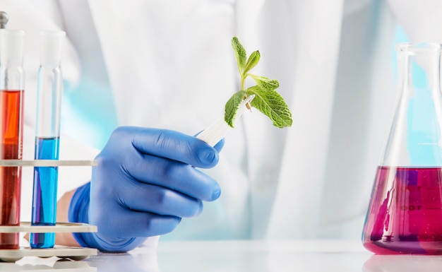 Esperimenti in un laboratorio di chimica. condurre un esperimento in laboratorio.