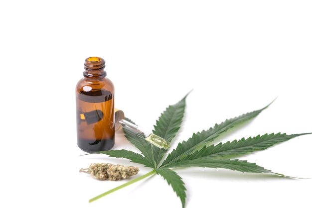 Estratti di olio di cannabis in barattoli e foglie di cannabis verde, marijuana isolata su sfondo bianco. Coltivazione di marijuana medica ed erbacea.