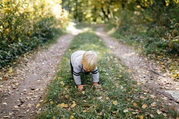 famiglia felice giocando e ridendo nel parco in autunno