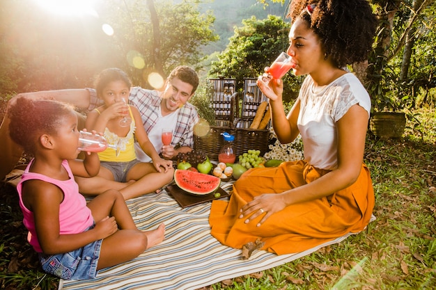 Famiglia moderna con un pic-nic