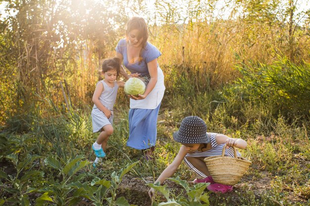 Famiglia raccolta di verdure nel campo