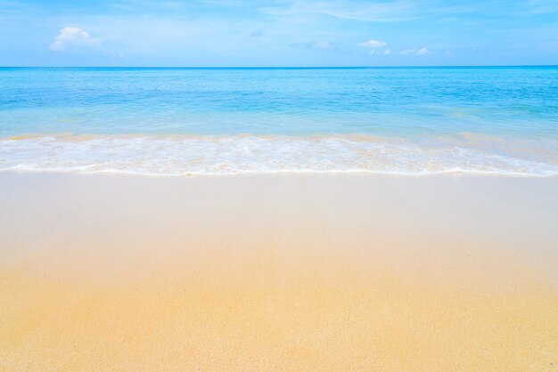 Fantastica spiaggia con il mare blu