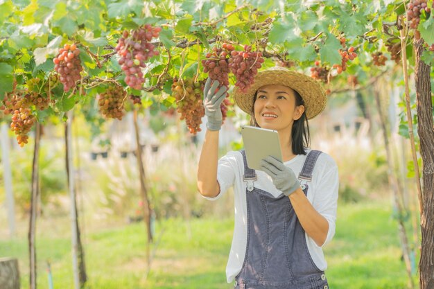 Fattoria di uva rossa. donna che indossa una tuta e un cappello di paglia vestito da fattoria