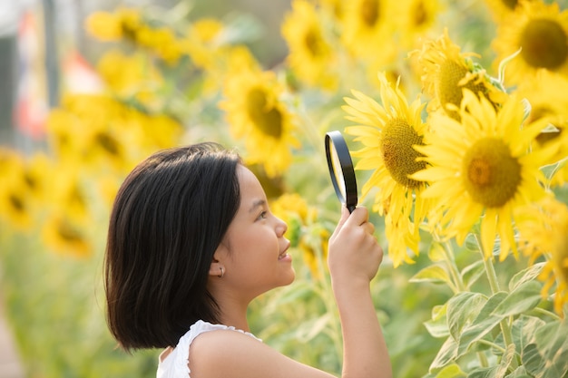 felice bambina asiatica divertendosi tra i girasoli fioriti sotto i dolci raggi del sole.