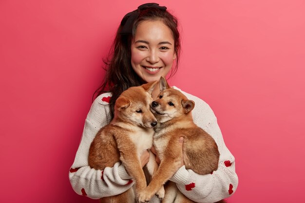 Felice donna asiatica tiene due adorabili cuccioli di Shiba Inu, sorride piacevolmente, indossa un maglione bianco, si prende cura degli animali domestici