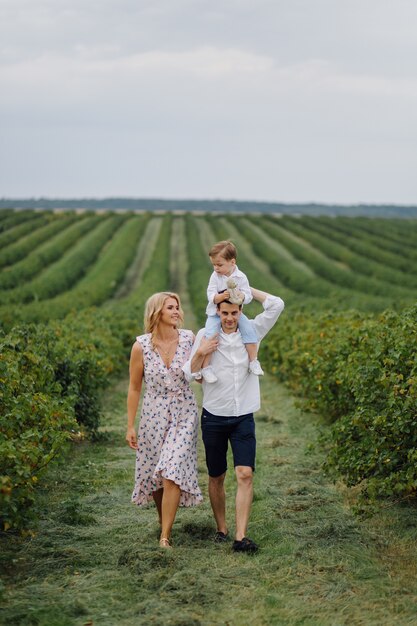 Felice giovane famiglia Papà, mamma e figlio piccolo sembra felice nel parco