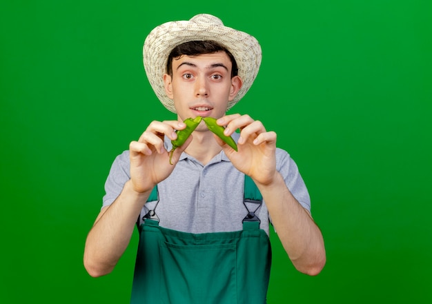 Felice giovane giardiniere maschio che indossa cappello da giardinaggio peperoncino rotto