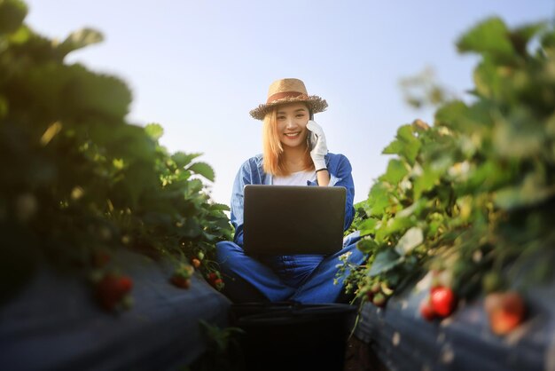 Femmina asiatica fa una telefonata mentre utilizza il computer portatile nel campo delle fragole Asian Woman Farmer lavora in Fresh Red Strawberry farm