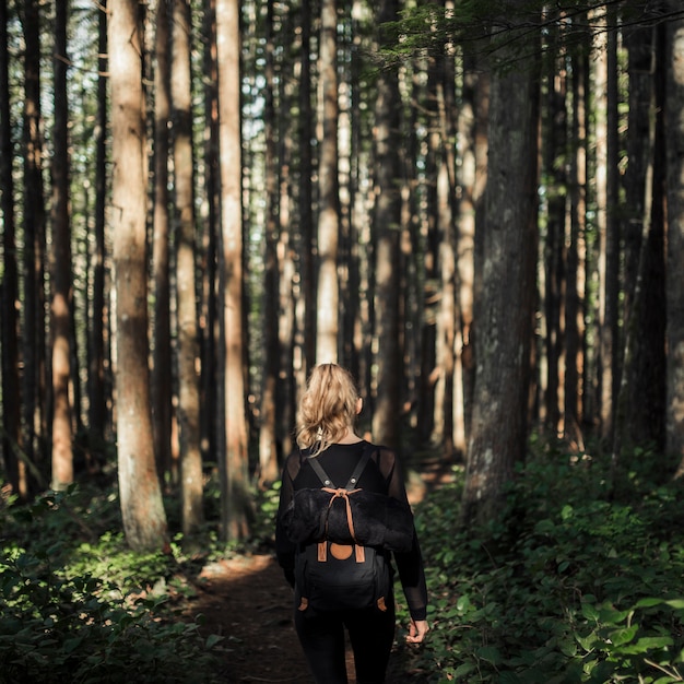 Femmina escursioni nella foresta