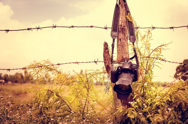 Fence Nature Hanging Hanging Camera