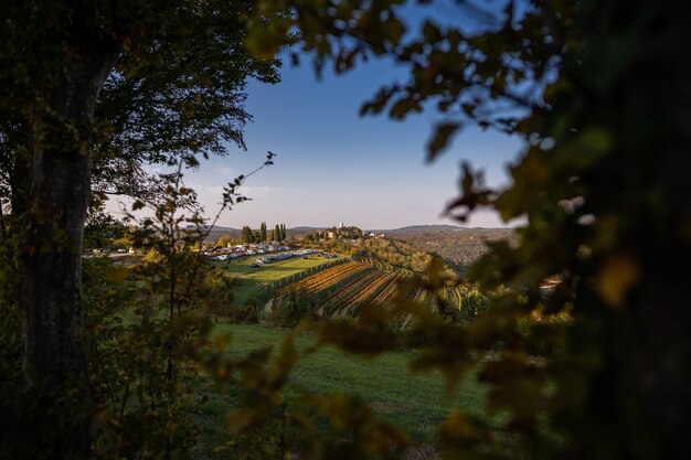 Festa della castagna a Oprtalj