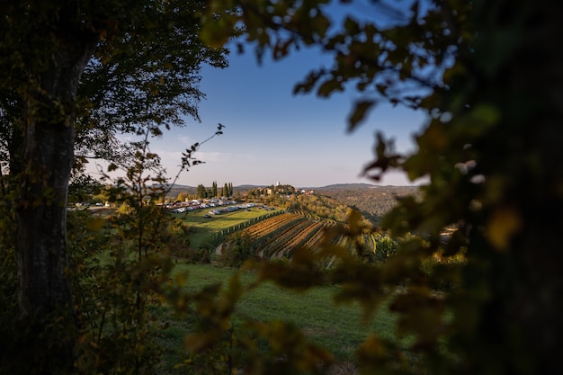 Festa della castagna a Oprtalj