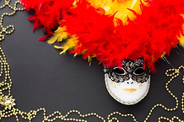 Festosa maschera di carnevale con piume