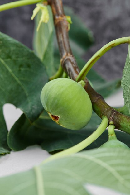 Fichi verdi isolati con foglie verdi.