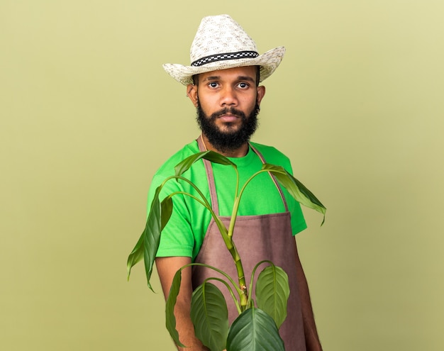 Fiducioso giovane giardiniere afro-americano che indossa un cappello da giardinaggio che tiene fuori la pianta isolata sul muro verde oliva