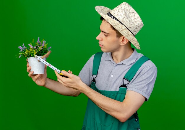 Fiducioso giovane giardiniere maschio che indossa il cappello da giardinaggio guarda e misure vaso di fiori con metro a nastro isolato su sfondo verde con spazio di copia