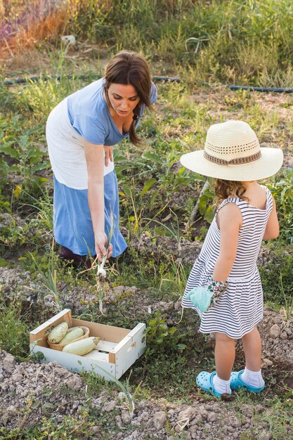 Figlia che esamina donna che raccoglie cipolla di inverno nel campo