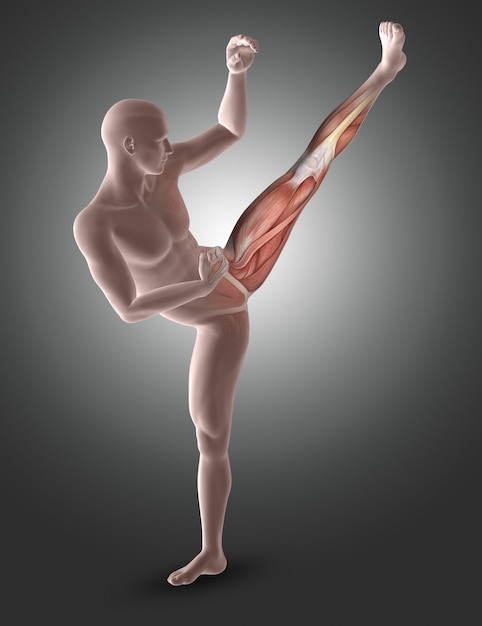 Figura maschio 3D nella posa di kick boxing con i muscoli delle gambe evidenziati